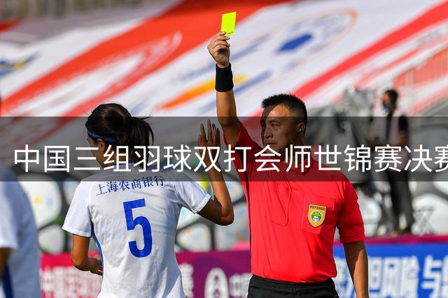 中国三组羽球双打会师世锦赛决赛
