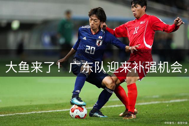 大鱼来了！广东队迎来补强机会，“加强版奎因”有望加盟？